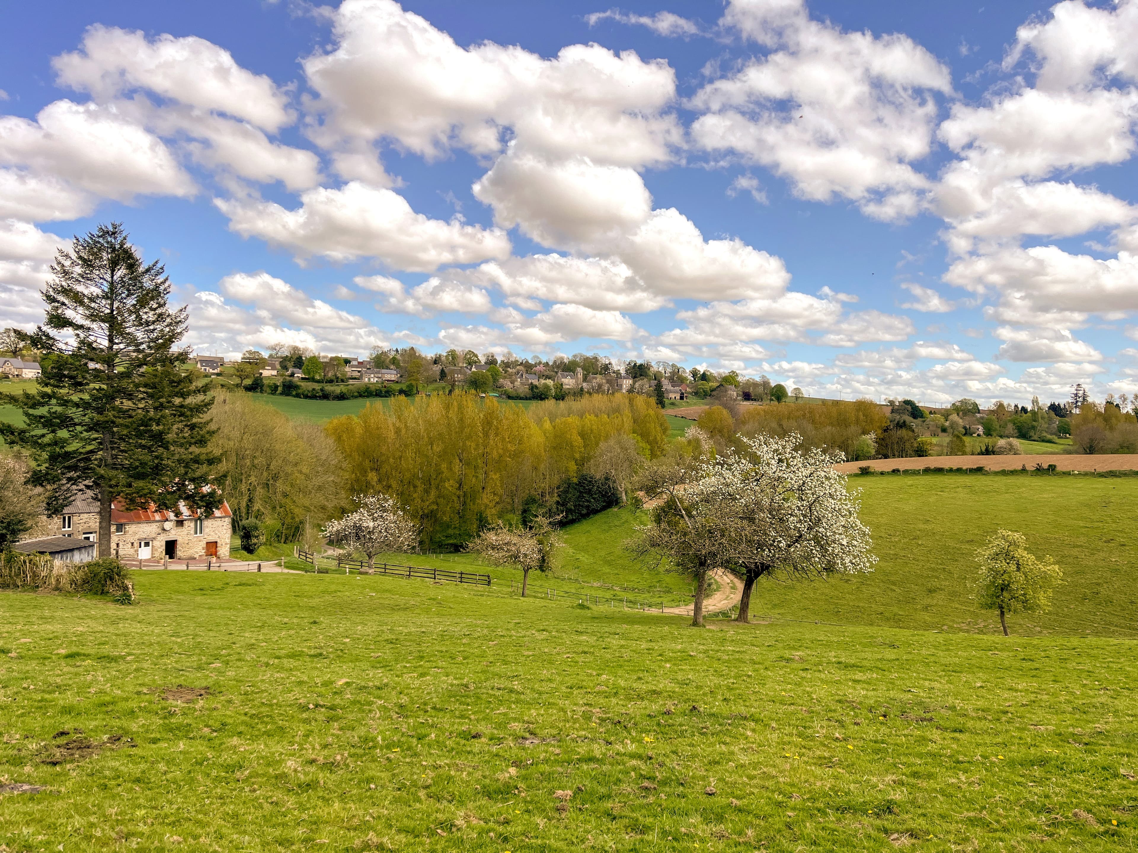 Wandelen in de omgeving